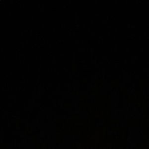 Meet your Posher, Jovi